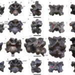 #Paleontology #Snake #Fossil #Vertebrae #GiantSnake #Prehistoric #India #KutchDistrict #Gujarat #VasukiIndicus #Titanoboa #LigniteMine #AmbushPredator #Constriction #Anaconda #Python #CenozoicEra #TyrannosaurusRex #SizeComparison #Madtsoiidae #Biodiversity #Ecosystem