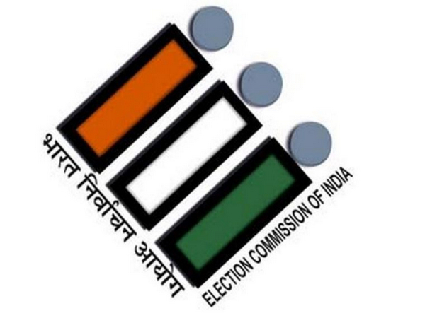 Election Commission, Polling Stations, Observers, Voter Amenities, Law and Order, Election Preparedness, Central Observers, Electoral Rolls, Voting Process, Neutrality, Voter Accessibility, Vulnerability Mapping, Election Guidelines