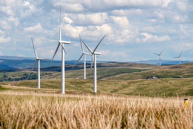 owards clean energy: Report on energy transitions to achieve India’s net-zero targets launched