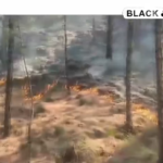 Inferno in the Hills: Devastating Forest Fires Ravage Jammu and Kashmir.