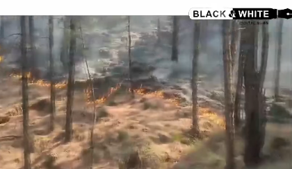 Inferno in the Hills: Devastating Forest Fires Ravage Jammu and Kashmir.