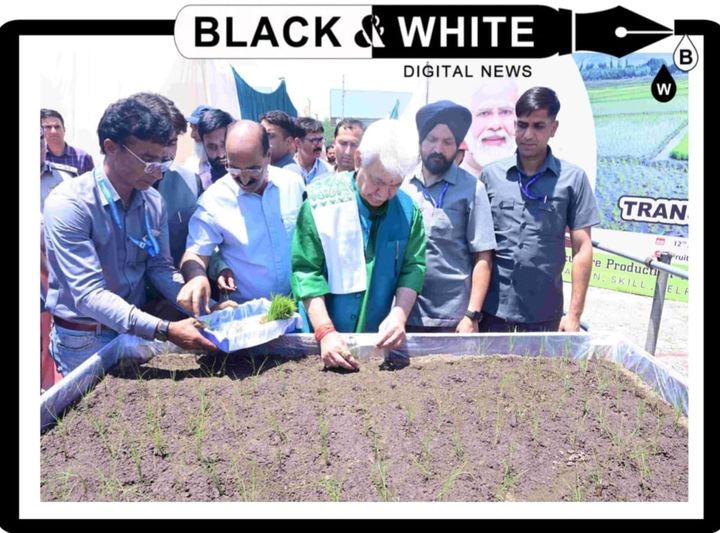 Lt Governor attends 'Paddy Transplantation Festival' at Anantnag.