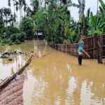 Thousands Displaced In Floods In North-Eastern India, Rain Abates