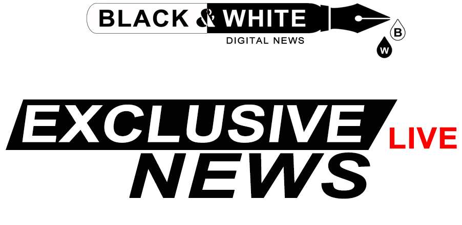 https://blackandwhitedigitalnews.com/