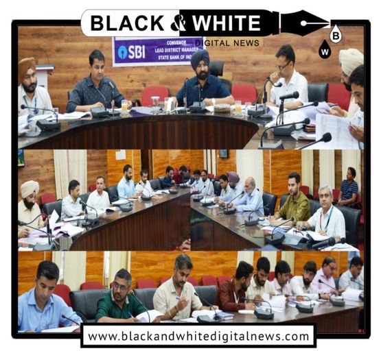 DC Doda chairs District Level Review Committee meeting.
