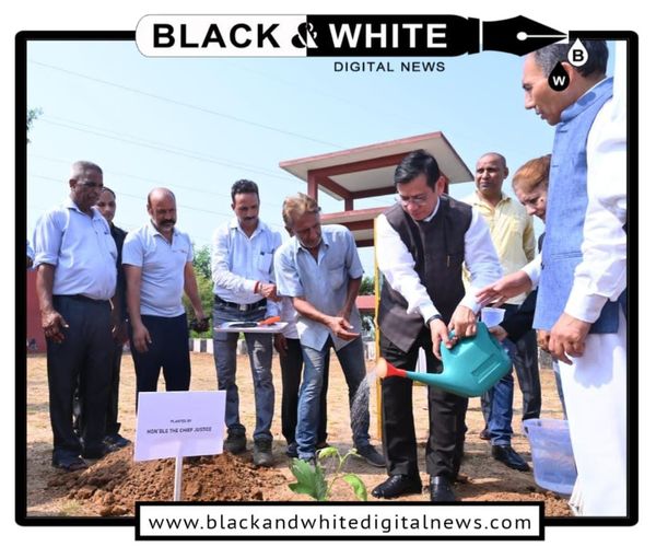 Plantation drive held at Jammu wing of High Court.