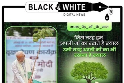 Union Home Minister Amit Shah Leads Record-Breaking Tree Plantation Drive