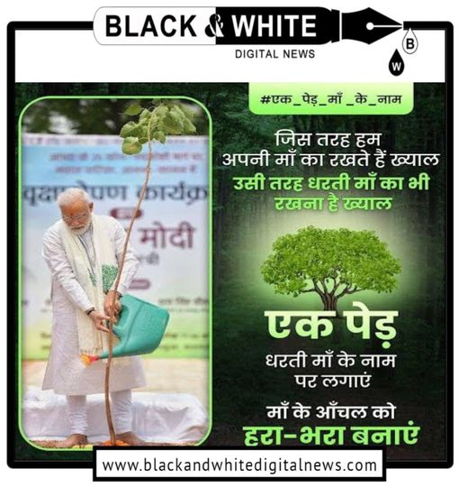 Union Home Minister Amit Shah Leads Record-Breaking Tree Plantation Drive