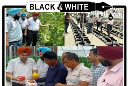 Director Agriculture Jammu reviews Agricultural Projects in District Samba