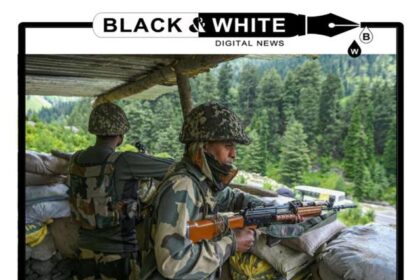 BSF Troops Fire on Suspected Movement in Sunderbani Area of Rajouri