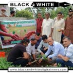 Director Horticulture launches plantation drive under HADP in Reasi
