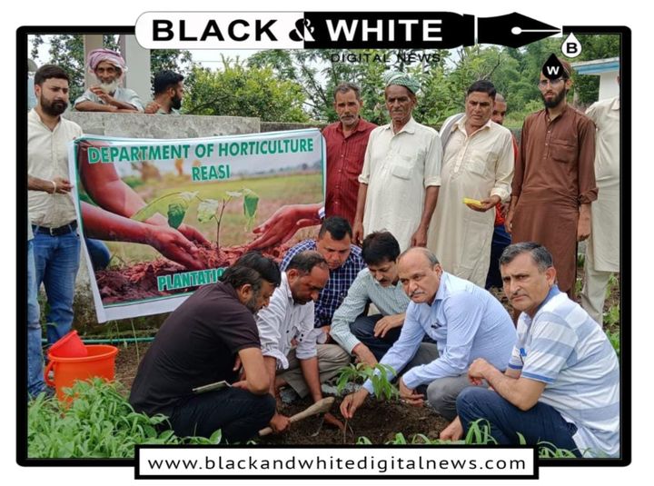 Director Horticulture launches plantation drive under HADP in Reasi