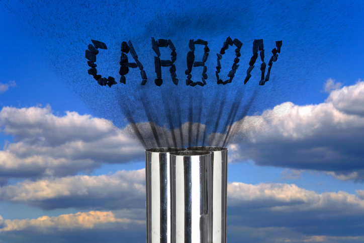 European Carbon Removal Specialists To Support New Projects In India