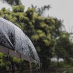 Kerala Schools And Colleges Closed; Heavy Rain Warnings For Odisha, Kolkata And Mumbai