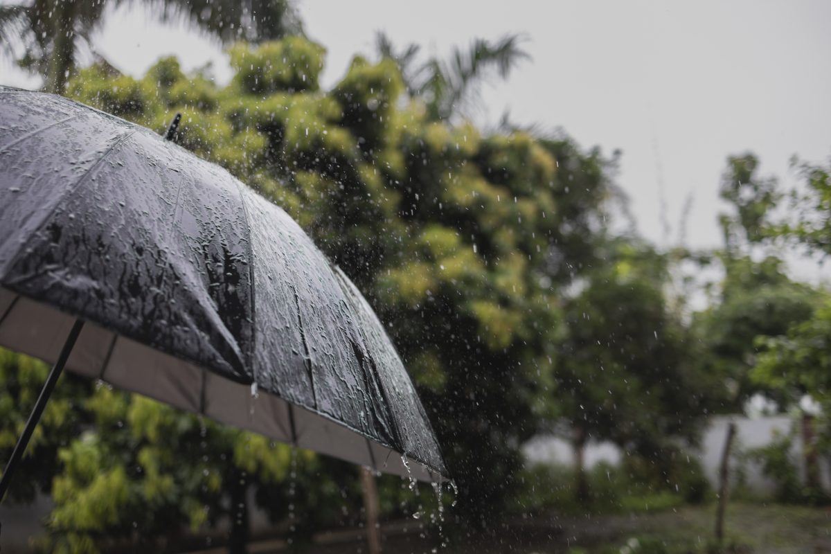 Kerala Schools And Colleges Closed; Heavy Rain Warnings For Odisha, Kolkata And Mumbai