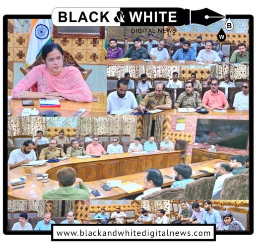 DC Kupwara chairs meeting regarding issues of PwDs, other vulnerable sections of society