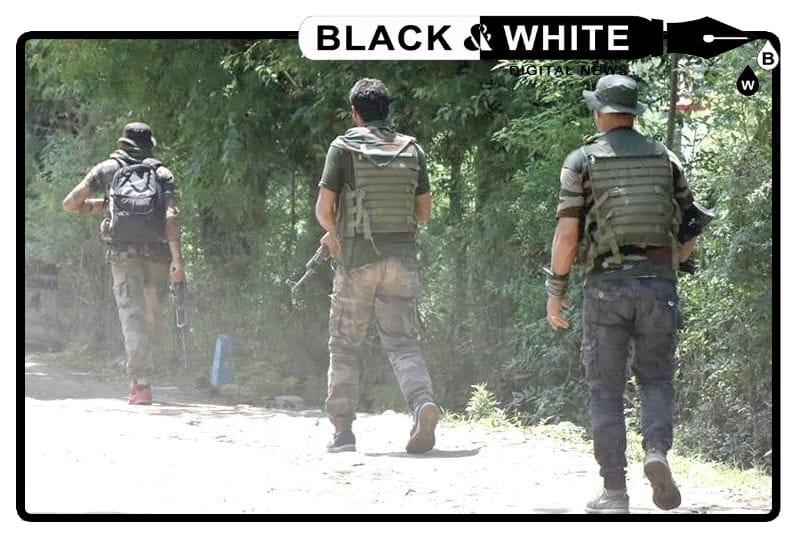 Terror Hunt in Udhampur: Forces Engage Terrorists in Basantgarh Encounter.