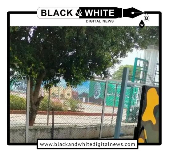 BSF protests against Pakistan move on J&K separatist leader's photo at Wagah.