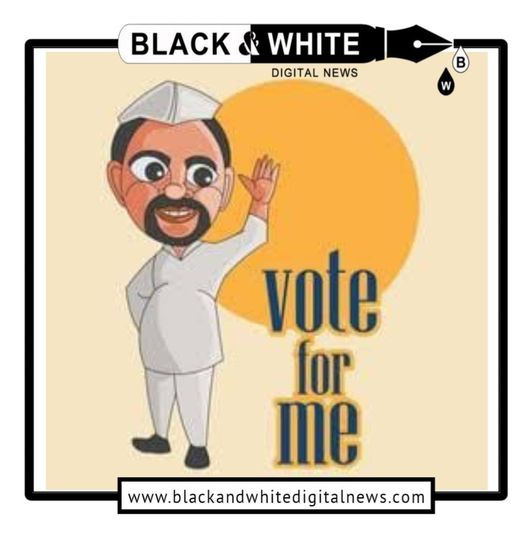 Social Media Warriors and Political Wannabes: The New Power Brokers of Election Season.