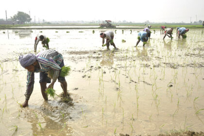 Kharif Sowing Exceeds Last Year’s Figures