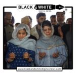 Political Titans Collide in Srigufwara-Bijbehara: Iltija Mufti Poised to Uphold PDP Legacy in High-Stakes Battle.