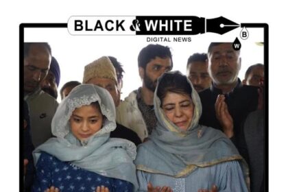 Political Titans Collide in Srigufwara-Bijbehara: Iltija Mufti Poised to Uphold PDP Legacy in High-Stakes Battle.