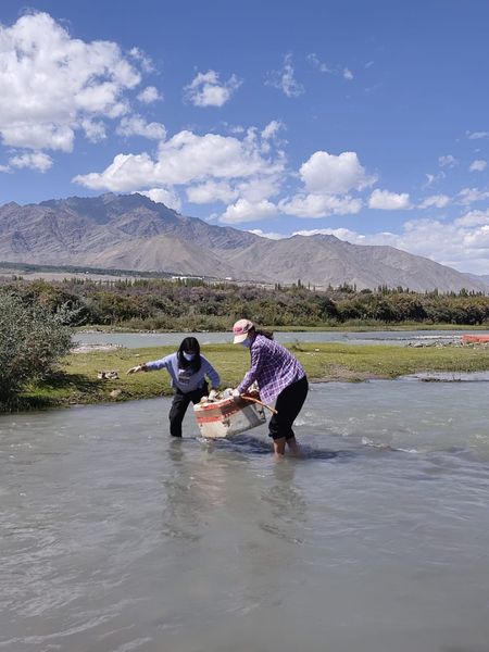 Press Release Leh, September 14, 2024: The NSS volunteers of EJM College Leh, started the Swachhta Abhiyan 2024 this morning by cleaning the area around Sindhu Ghat.