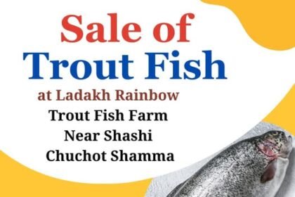 PUBLIC NOTICE Fresh & Live Trout Fish Available for Sale!