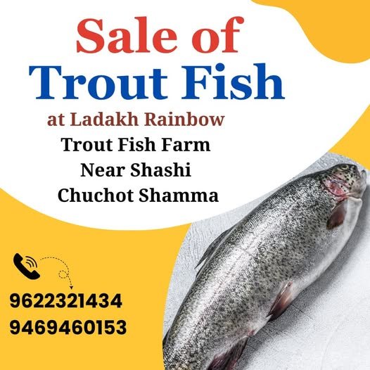 PUBLIC NOTICE Fresh & Live Trout Fish Available for Sale!