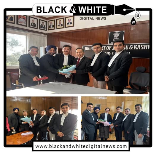 Newly Elected J&K High Court Bar Association Team Meets Chief Justice and Judges for Strengthening Bar-Bench Relations