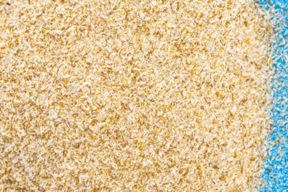 Fibre-Rich Diet May Strengthen The Body Against Infections: Study 