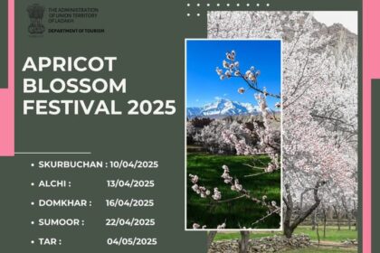 Apricot Blossom Festival 2025!