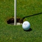 Golf: Inaugural India Championship Joins 2025 Race To Dubai