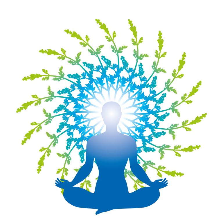 Youth-Centric ‘Yoga Unplugged’ Gains Momentum Ahead Of International Day Of Yoga 2025
