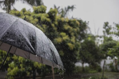 India Likely To Witness Above-Normal Monsoon Rainfall In 2025: IMD