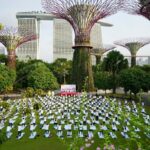 Hundreds In Singapore, Myanmar Join International Yoga Day Celebrations
