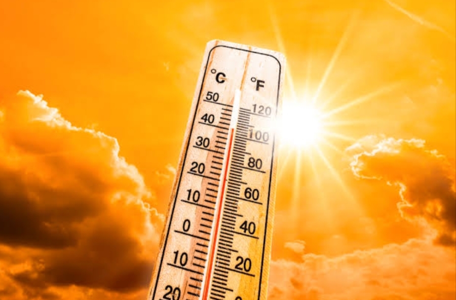 Delhi Swelters As Mercury Soars: IMD Sounds Orange Alert Amid Scorching Heatwave