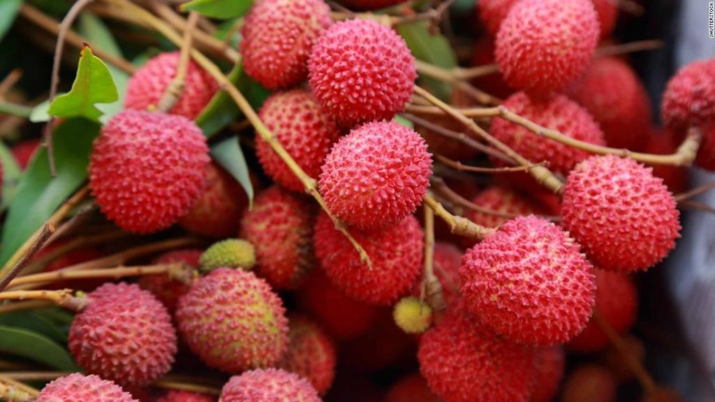India Exports First Consignment Of Rose-Scented Litchi From Pathankot To Qatar
