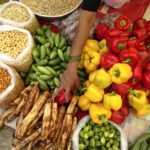 Nutritional Intake In India: NSO Survey Reveals Patterns In Calorie, Protein And Fat Consumption