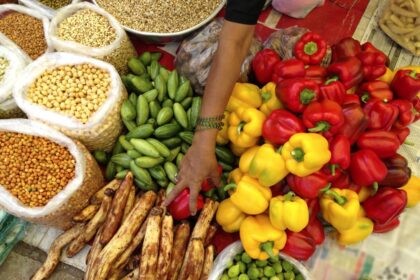 Nutritional Intake In India: NSO Survey Reveals Patterns In Calorie, Protein And Fat Consumption