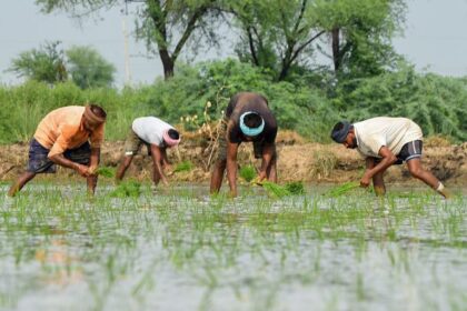 Farmer Suicides Reduced By 50 Pc During NDA Rule Compared To UPA Era: RTI