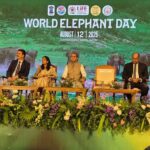 India Marks World Elephant Day, Reaffirms Global Leadership In Conservation