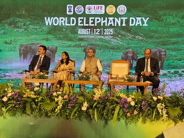 India Marks World Elephant Day, Reaffirms Global Leadership In Conservation