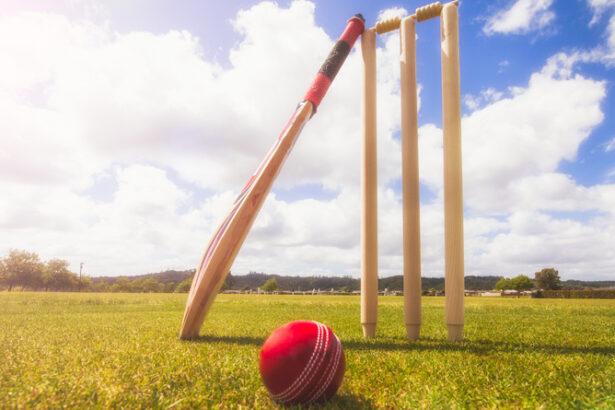 India Beat Australia To Storm Into The Final Of Women’s T20 World Cup Cricket For Blind