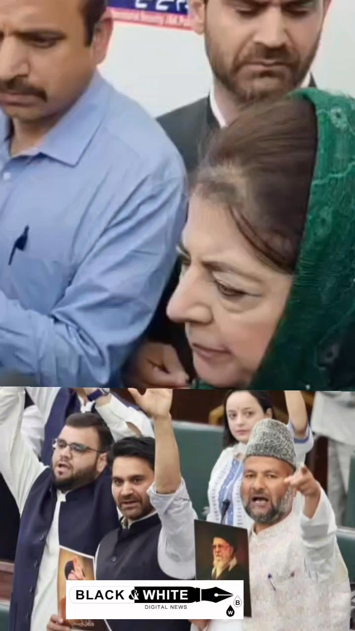 PDP MLAs Introduce Private Members’ Bills on Daily Wagers’ Regularisation, Liquor Ban, and New Division; Ex-CM Mehbooba Mufti Expresses Hope for Passage