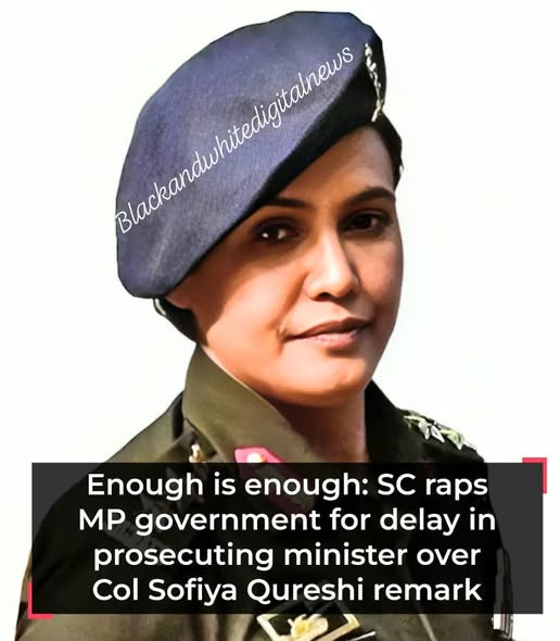 “Enough is enough,” says Supreme Court, slamming MP government for delay in prosecuting minister over Col. Sofiya Qureshi remark