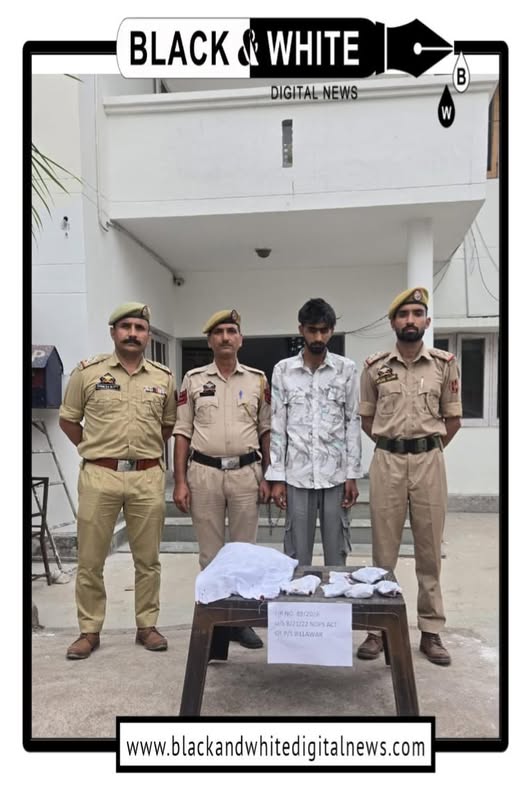J&K Police Bust Major Drug Racket in Kathua; 430 Grams Heroin-Like Substance Seized, Kingpin Held