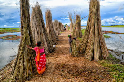 National Jute Board Expands Tech-Driven Crop Monitoring System With ISRO Collaboration