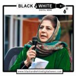 PDP Chief Alleges 25,000 'Backdoor Appointments'; No Formal Complaint Filed, Questions Raised Over Lack of Investigation