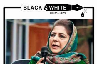 PDP Chief Alleges 25,000 'Backdoor Appointments'; No Formal Complaint Filed, Questions Raised Over Lack of Investigation